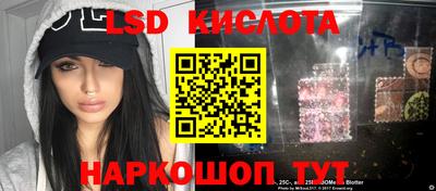 соль ск Славгород